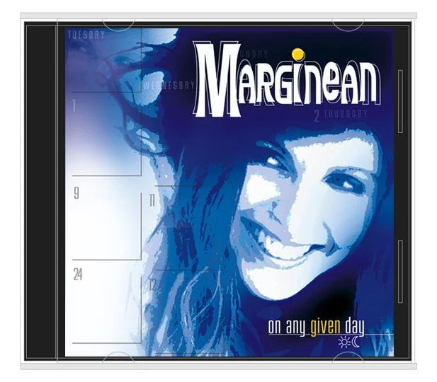 Album artwork for 'On Any Given Day' featuring bold typography and blue-toned illustration